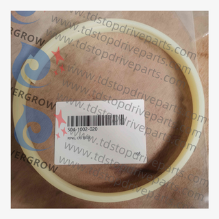 Anillo S04-1002-020, afuera