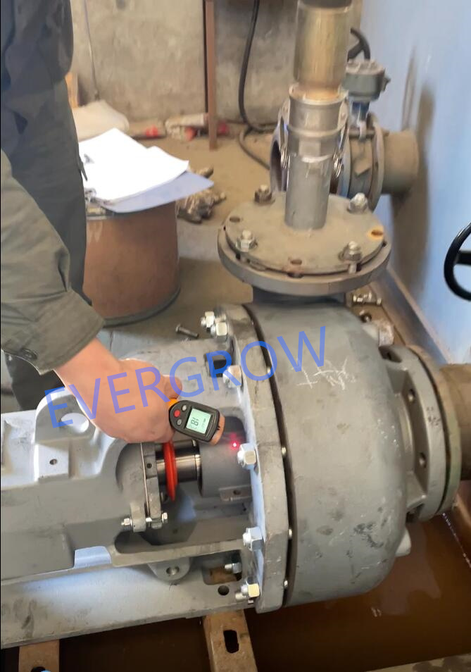 prueba de f&aacute;brica para bomba centr&iacute;fuga Magnum 6x5x11-5 evergrow