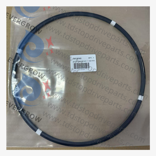 30119143 Anillo GLYD