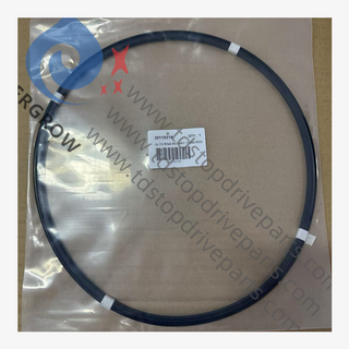 30119319 Anillo GLYD