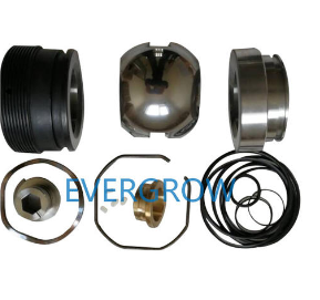 Kit de reparación Evergrow-Completo 99498-2 