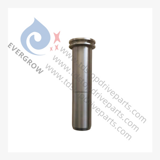 30173958 Pasador de tiro