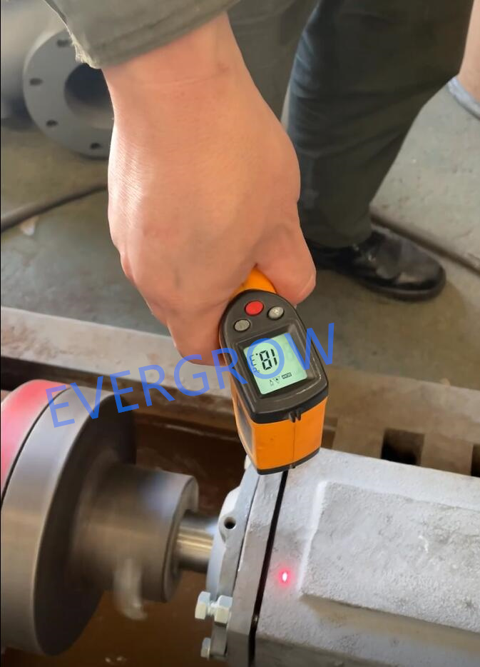 prueba de f&aacute;brica para bomba centr&iacute;fuga Magnum 6x5x11-3 evergrow