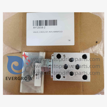 Kit de verificación de válvulas AY12658-2 INTG Manifold