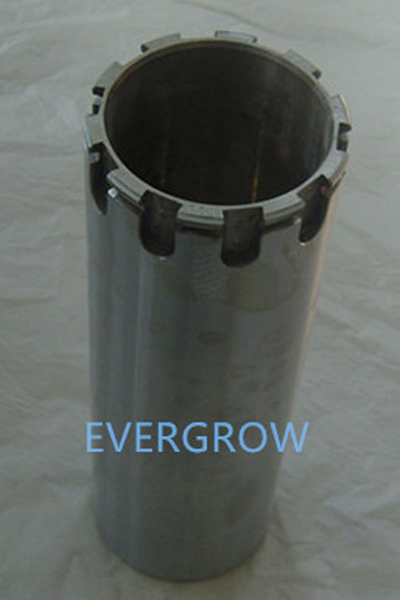 30123289_evergrow 副本